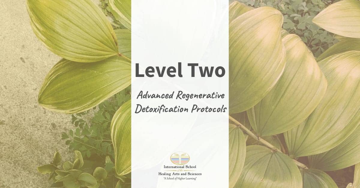 Level Two Advanced Regenerative Detoxification Protocols Course